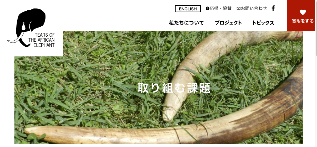 Image in a image block